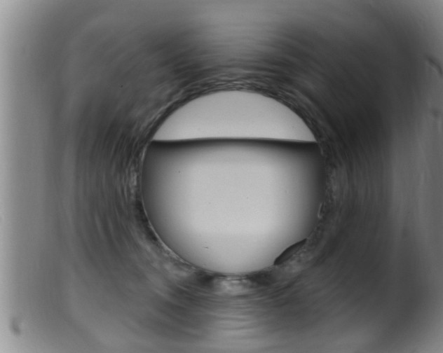 X0000099950372200805231007