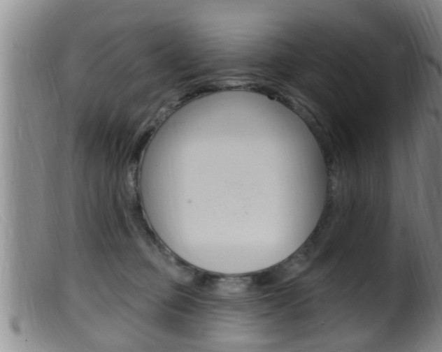 X0000099950373200805231007