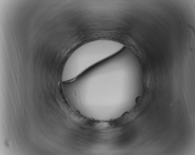 X0000099950374200805231007