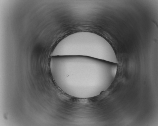 X0000099950377200805231007