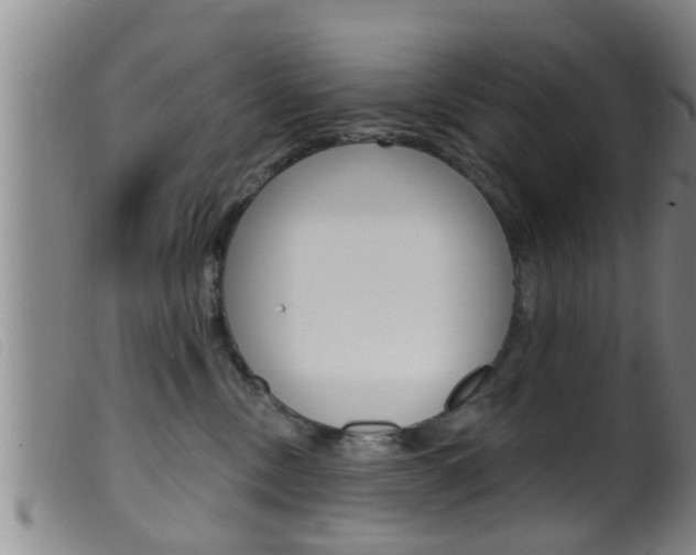 X0000099950378200805231007