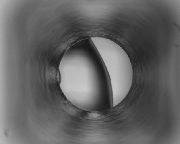 X0000099950380200805231007