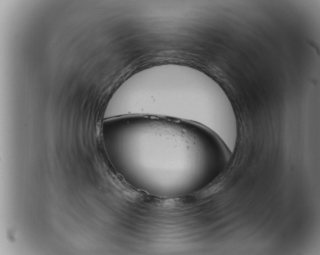 X0000099950382200805231008