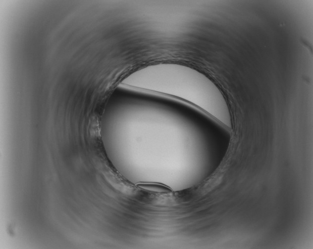 X0000099950384200805231008