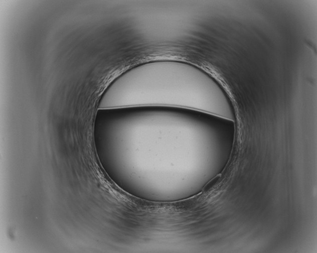 X0000099950385200805231007