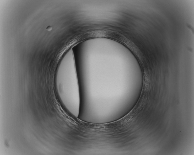 X0000099950386200805231007