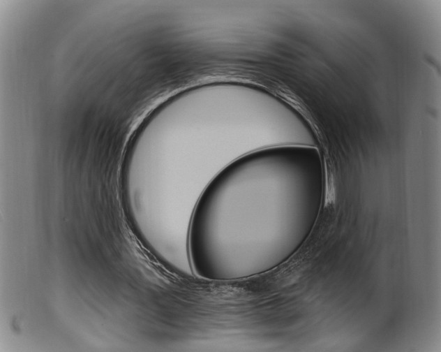 X0000099950387200805231007