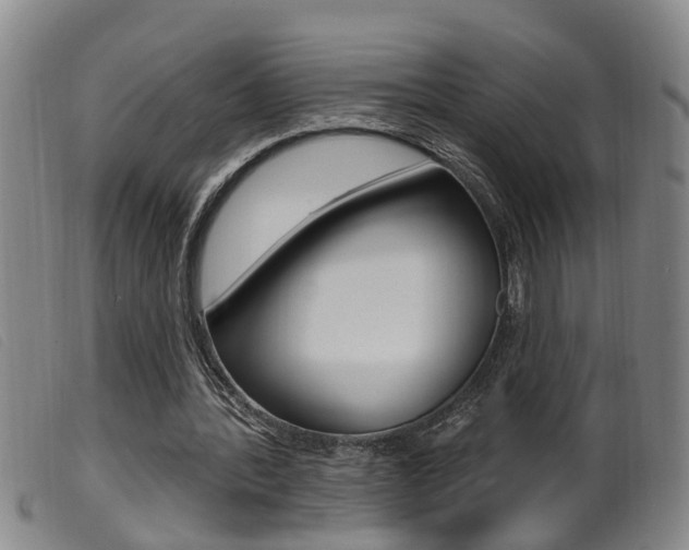 X0000099950388200805231007