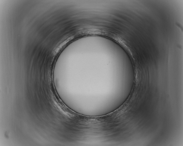 X0000099950390200805231007