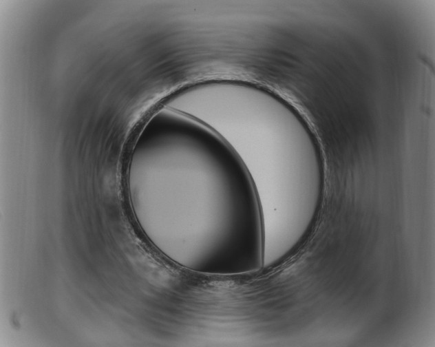 X0000099950391200805231007