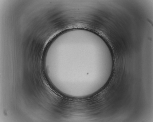 X0000099950392200805231007