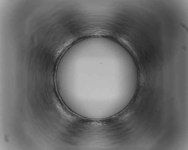 X0000099950394200805231007
