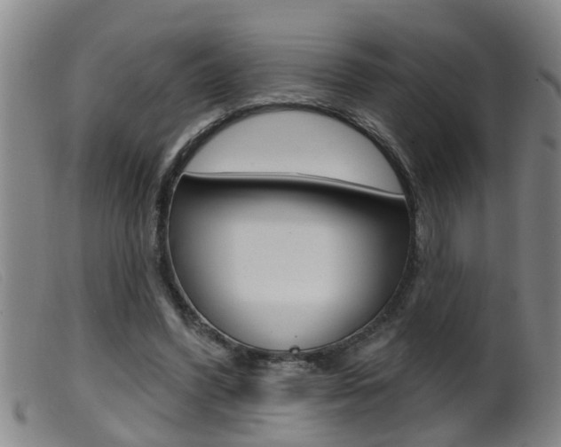 X0000099950396200805231007