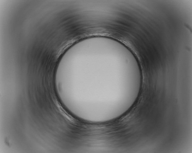 X0000099950397200805231007