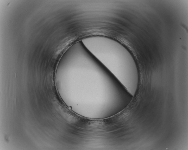 X0000099950398200805231006