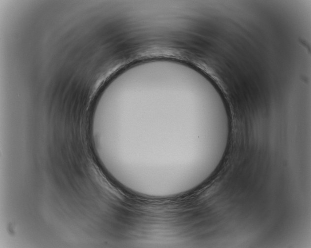 X0000099950399200805231006