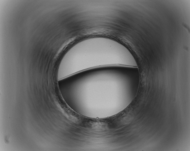 X0000099950400200805231006