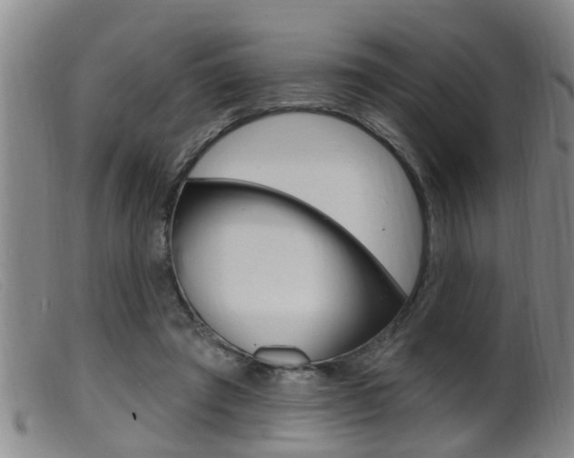 X0000099950401200805231006
