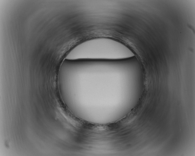 X0000099950402200805231006