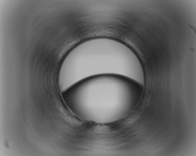 X0000099950403200805231006