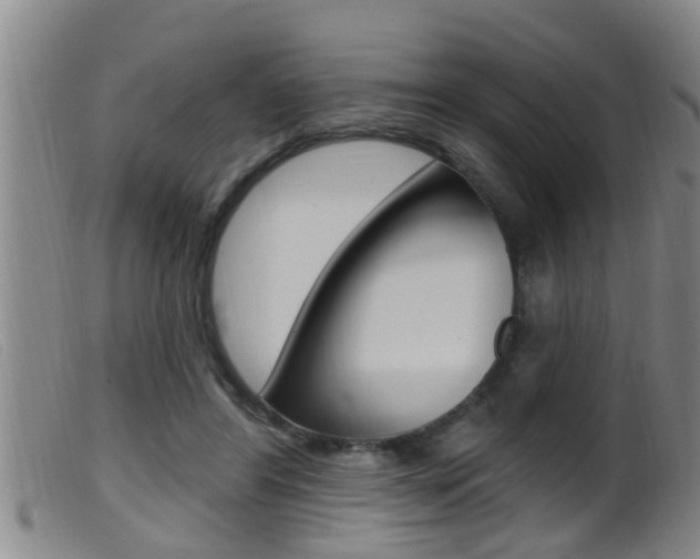 X0000099950404200805231006