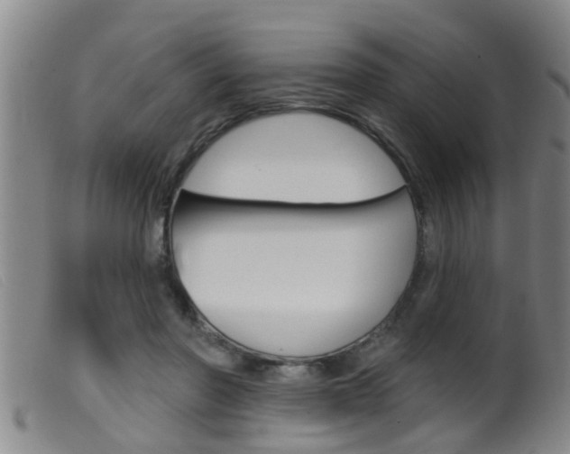 X0000099950406200805231006