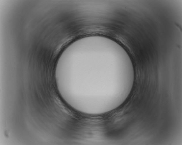 X0000099950407200805231006