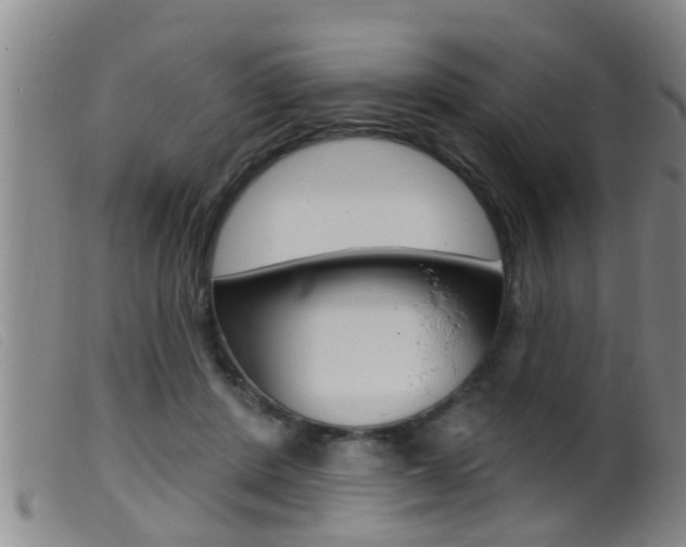 X0000099950408200805231006
