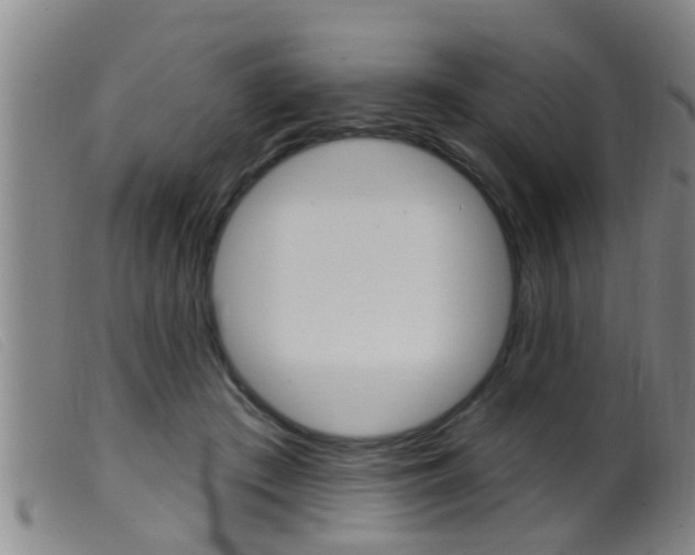 X0000099950409200805231006