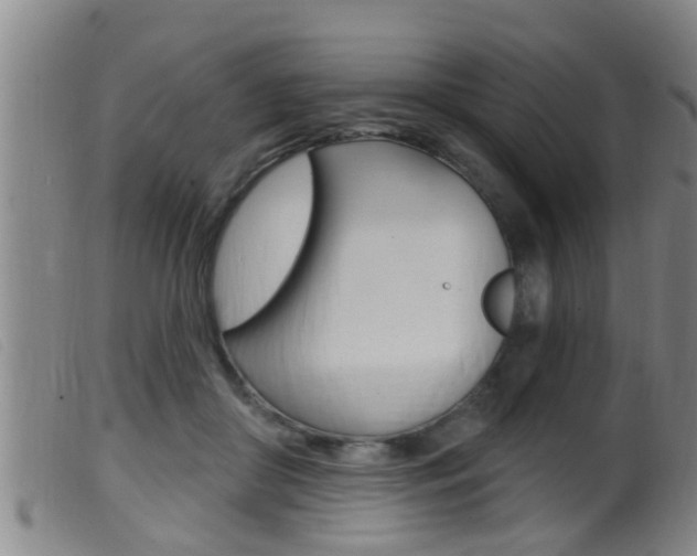 X0000099950410200805231006