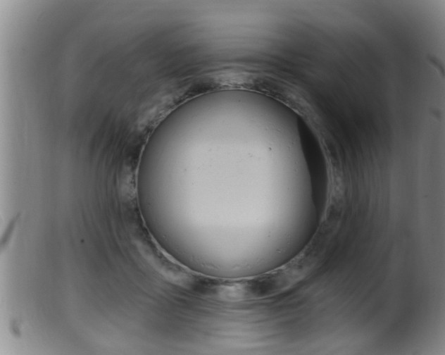 X0000099950411200805231006