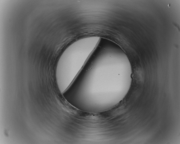 X0000099950412200805231006