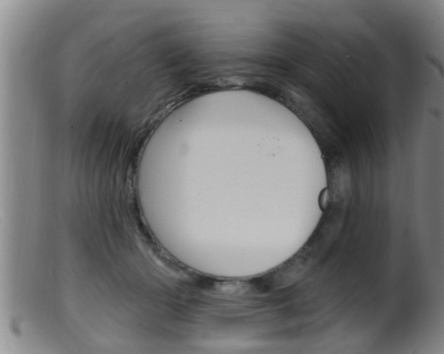 X0000099950414200805231006