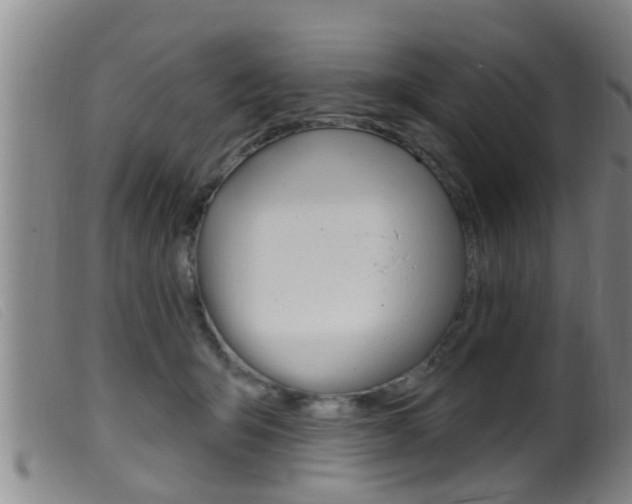 X0000099950415200805231006