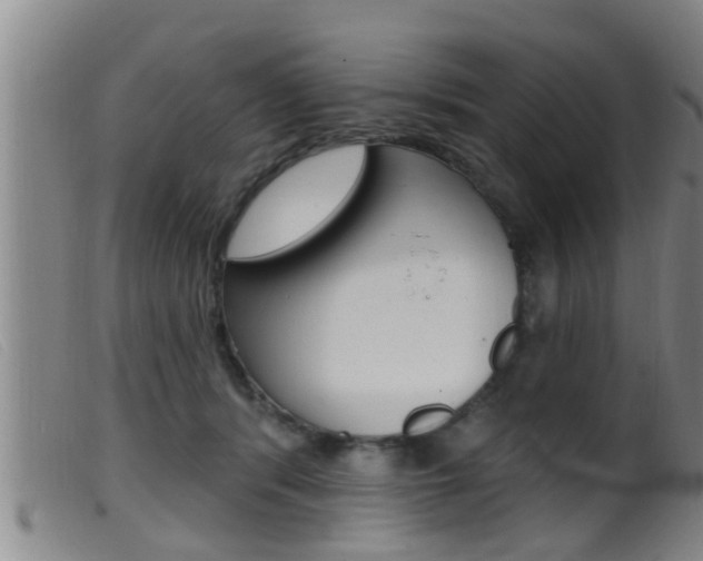X0000099950416200805231006