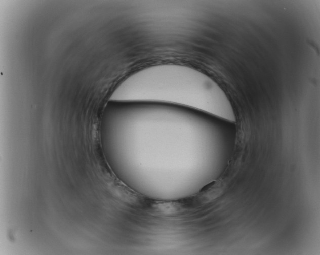 X0000099950417200805231006