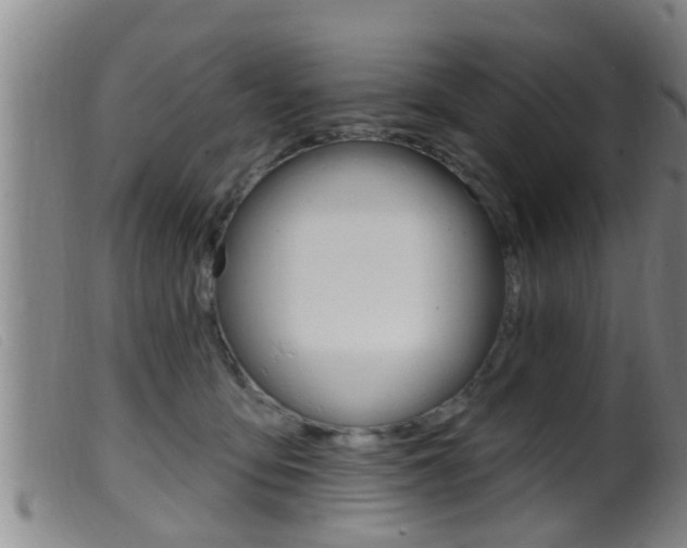 X0000099950419200805231006