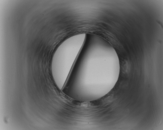 X0000099950420200805231006