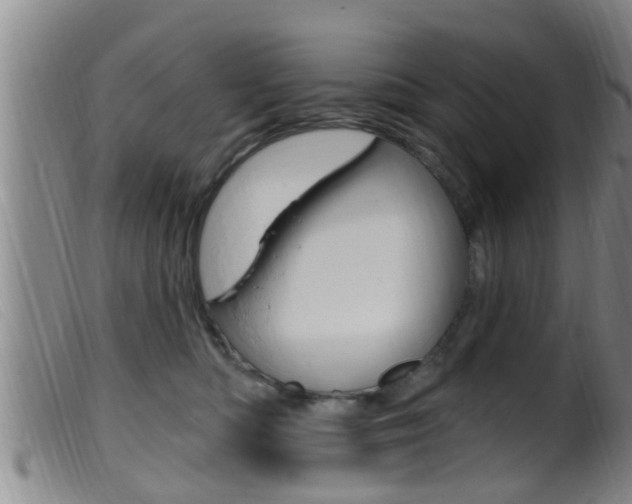 X0000099950422200805231006