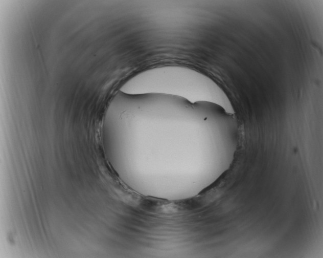 X0000099950423200805231006