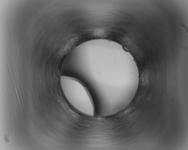 X0000099950424200805231006