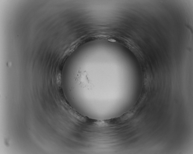 X0000099950425200805231006