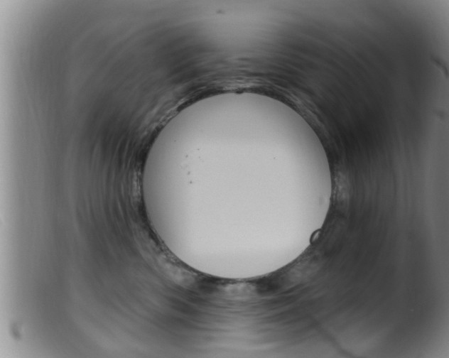 X0000099950426200805231006