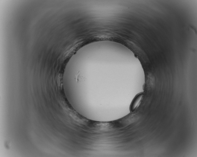 X0000099950428200805231006