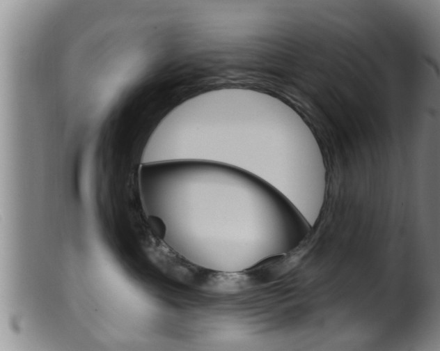 X0000099950429200805231006