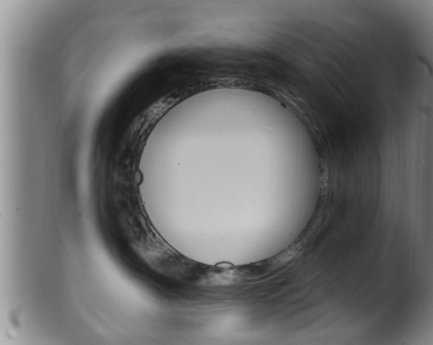 X0000099950430200805231006