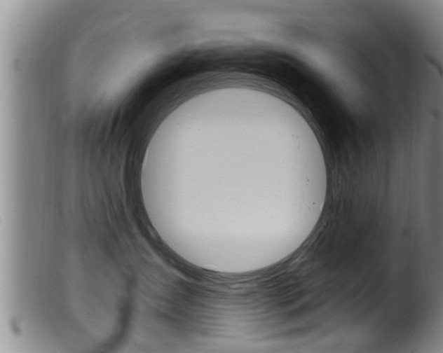 X0000099950431200805231006