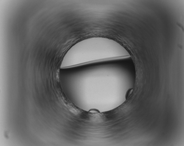 X0000099950432200805231006