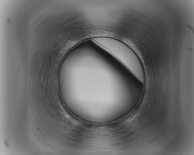 X0000099950433200805231005