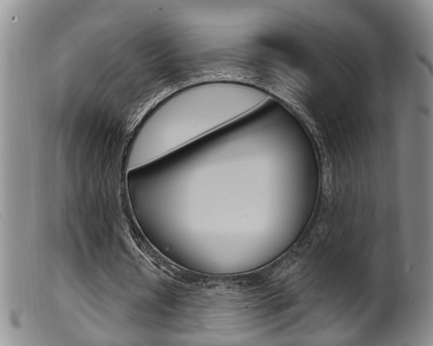 X0000099950434200805231005